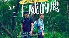 美人鱼生日会